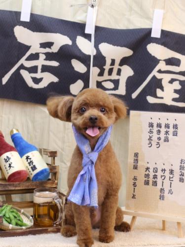 20240608ベルくん